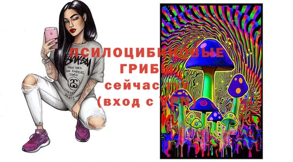 тгк Абаза