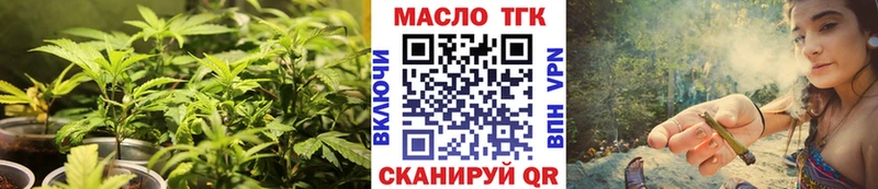 ТГК гашишное масло  ссылка на мегу вход  Ядрин 