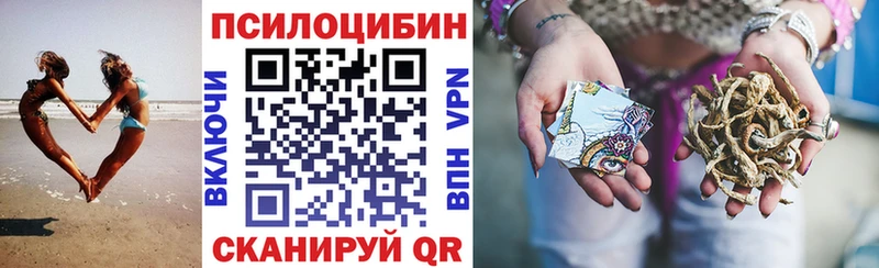 гидра онион Ядрин дарк нет телеграм Галлюциногенные грибы Cubensis